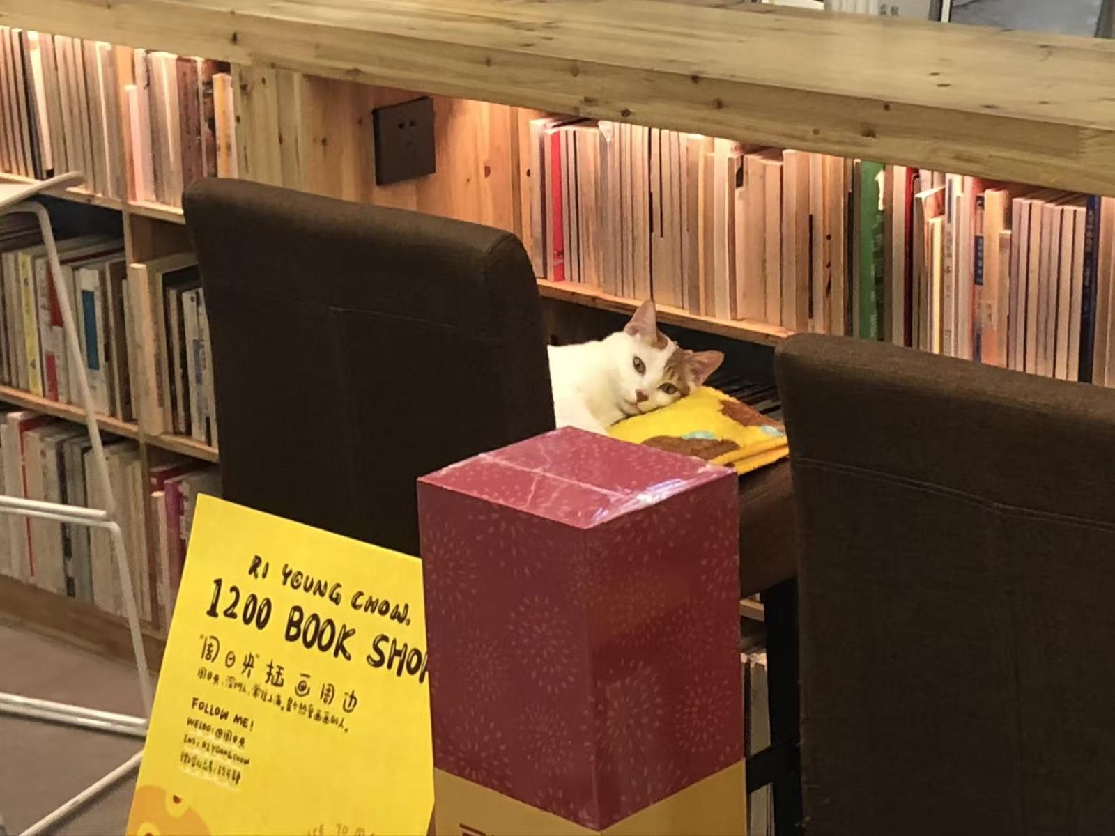 1200深圳店来福.JPG